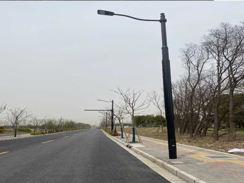 德兴市上海综合杆 太阳能路灯工程